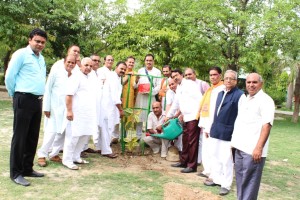 Photo 150705 Mayor & VHP Leaders planting a tree