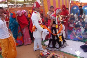 जोधपुर सर्वजातीय सामूहिक विवाह समारोह