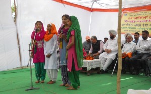 भारत विकास परिषद कार्यक्रम पंजाब